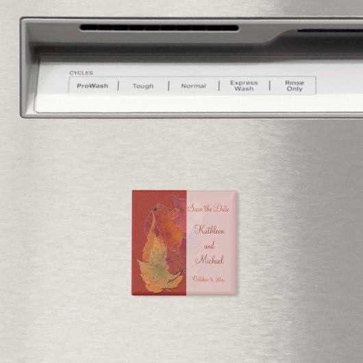 Im Herbst verbleibt das Datumsfenster Magnet (In Situ (Geschirrspüler))