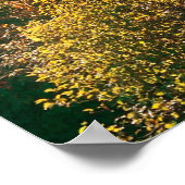 Im Herbst wird der Morgen mit farbenfrohen Blätter Poster (Ecke)