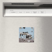 Im Himmel von Socorro schweben Magnet (In Situ (Geschirrspüler))