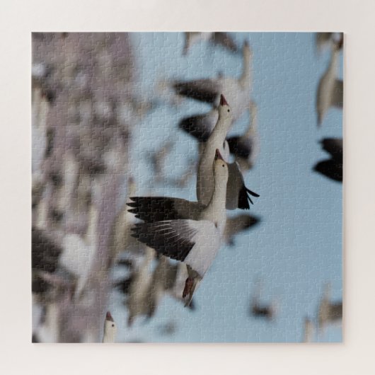 Im Himmel von Socorro schweben Puzzle (Horizontal)