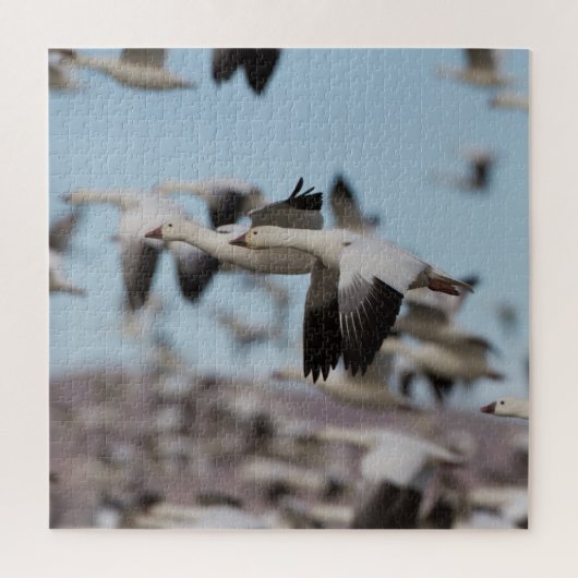 Im Himmel von Socorro schweben Puzzle (Vertikal)