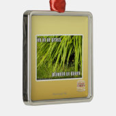 im in ur Gras Silbernes Ornament (Rechts)