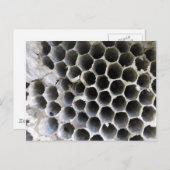 Im Inneren des Hives Postkarte (Vorne/Hinten)