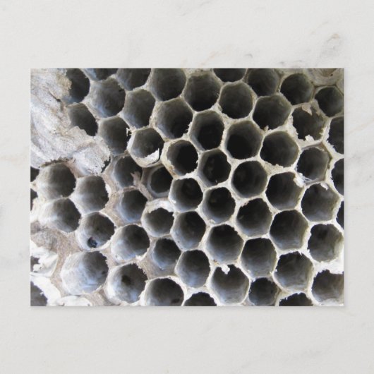 Im Inneren des Hives Postkarte (Vorderseite)