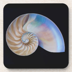 Im Inneren des Nautilus Getränkeuntersetzer