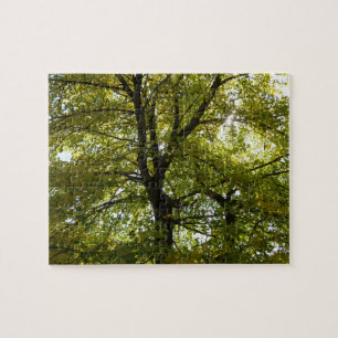 Im Inneren eines gelben Ahornbaums Herbst Puzzle