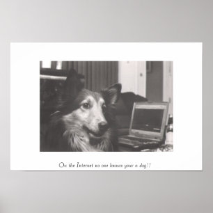 Im Internet kennt niemand deinen Hund!! Poster