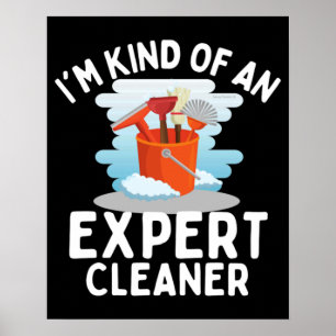 I'm Kind of An Expert Housekeeping Novelty Poster