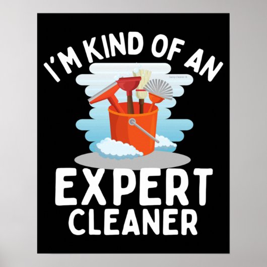 I'm Kind of An Expert Housekeeping Novelty Poster (Vorne)