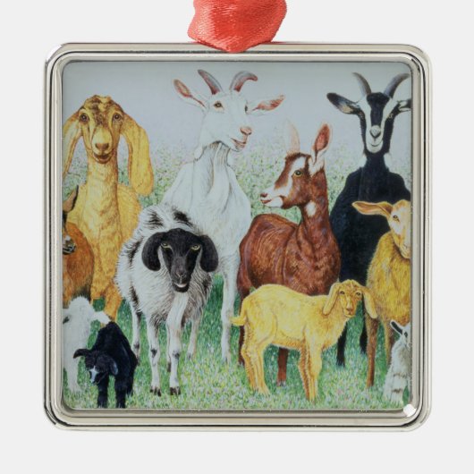 Im Klee Silbernes Ornament (Vorne)