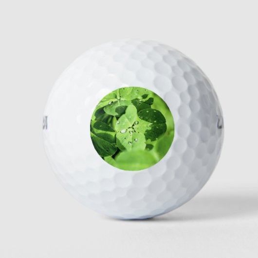 Im Kleeblatt leben Golfball (Vorderseite)