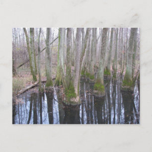im Land Makebelieve Postkarte
