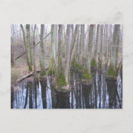 im Land Makebelieve Postkarte