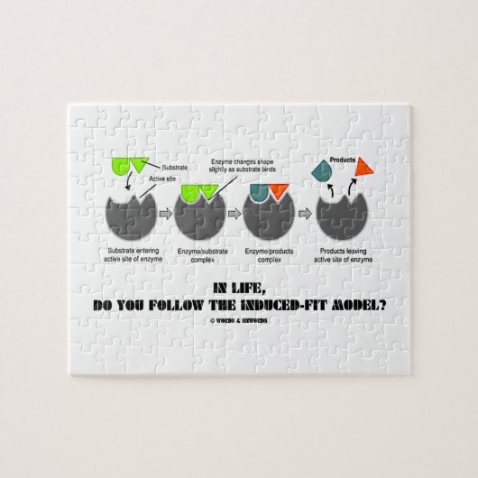 Im Leben folgen Sie dem Verursachen-Sitz Modell? Puzzle (Horizontal)