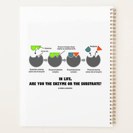 Im Leben sind Sie Enzym oder Substrat? Angesaugt Planer (Rückseite)