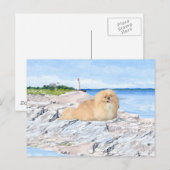 Im Leuchtturm Postkarte (Vorne/Hinten)