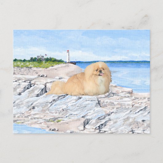 Im Leuchtturm Postkarte (Vorderseite)