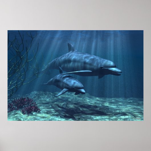 Im Licht Poster (Vorne)