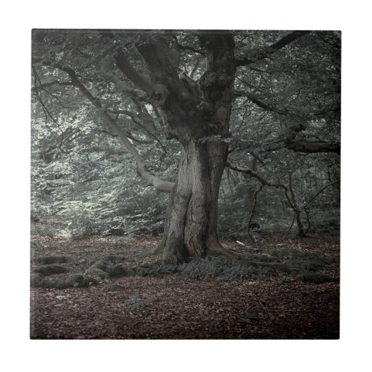 Im Märchenwald Fliese (Vorderseite)