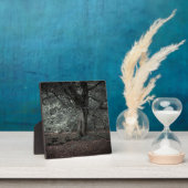 Im Märchenwald Fotoplatte (InSitu)