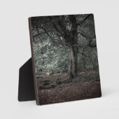 Im Märchenwald Fotoplatte (Vorderseite)