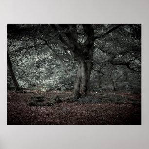 Im Märchenwald Poster