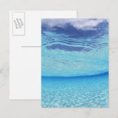 Im Meer Postkarte (Vorne/Hinten)