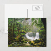 im Nationalpark Mount Field Postkarte (Vorne/Hinten)