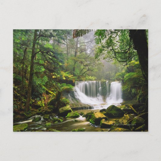 im Nationalpark Mount Field Postkarte (Vorderseite)