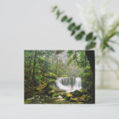 im Nationalpark Mount Field Postkarte (Stehend Vorderseite)