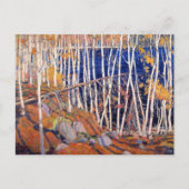 Im Norden Postkarte (Vorderseite)