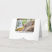 I'M NOT LOST... BECAUSE I FOUND YOU! KARTE (Rückseite)