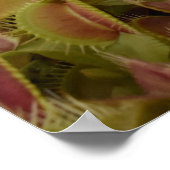 I'm not sure I like extreme sport. Poster (Ecke)