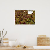 I'm not sure I like extreme sport. Poster (Küche)