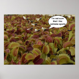 I'm not sure I like extreme sport. Poster