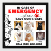 Im Notfall werden 6 Katzen mit benutzerdefiniertem Fensteraufkleber (Blatt)