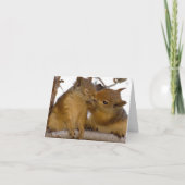 I'M NUTS ABOUT YOU! KARTE (Vorderseite)