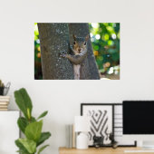 "I'm Nuts" Junge Eichhörnchen auf Baumplakat Poster (Heimbüro)