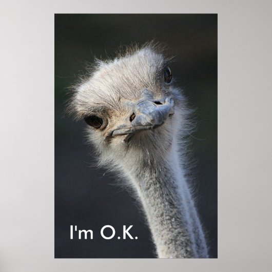 Im O.K. Poster (Vorne)