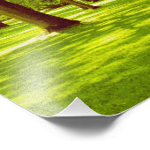 Im Park Fotodruck (Ecke)