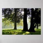 IM PARK POSTER (Vorne)