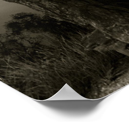 Im Park Poster (Ecke)