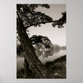 Im Park Poster (Vorne)