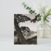 Im Park Postkarte (Stehend Vorderseite)