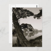 Im Park Postkarte (Vorne/Hinten)