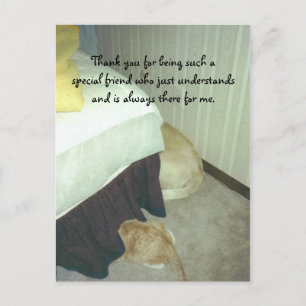 Im Rahmen des Bettes Postkarte