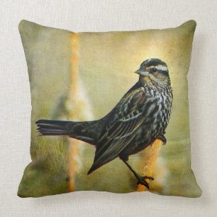 Im Rampenlicht-Wurfs-Kissen Kissen