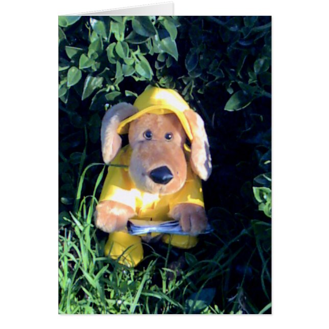 Im Regen singen (Vorne)