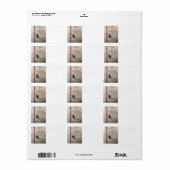 Im Rosa Adressaufkleber (Vorne)