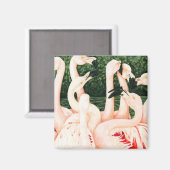 Im Rosa - Flamingos Magnet (Vorderseite/Rückseite)
